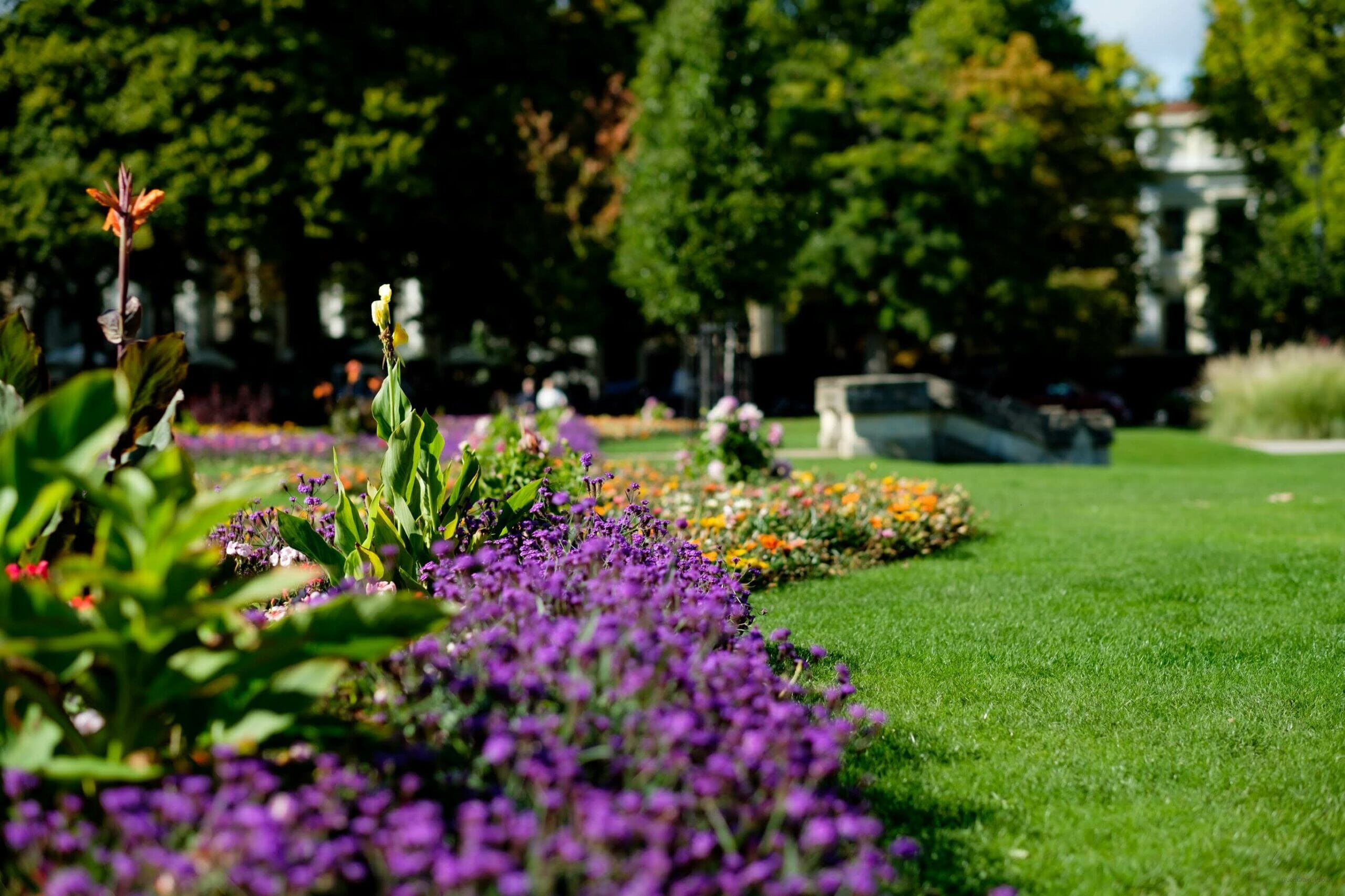 20170919-cheltenham-with-some-sun-but-no-people-by-joncraig_photos-07778606070_50608402348_o-scaled.jpg?w=1024&h=683&scale