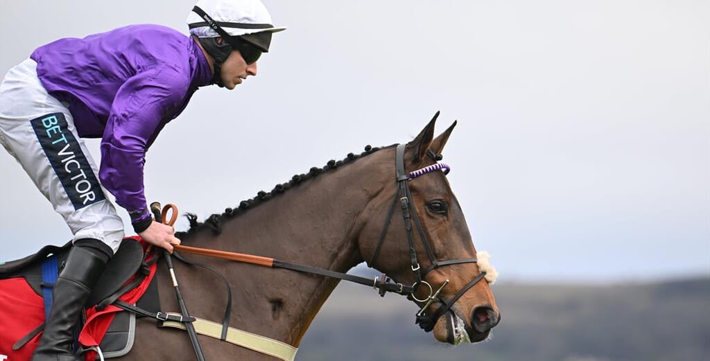 christmas-meet-chelt-races.jpg?w=1024&h=521&scale