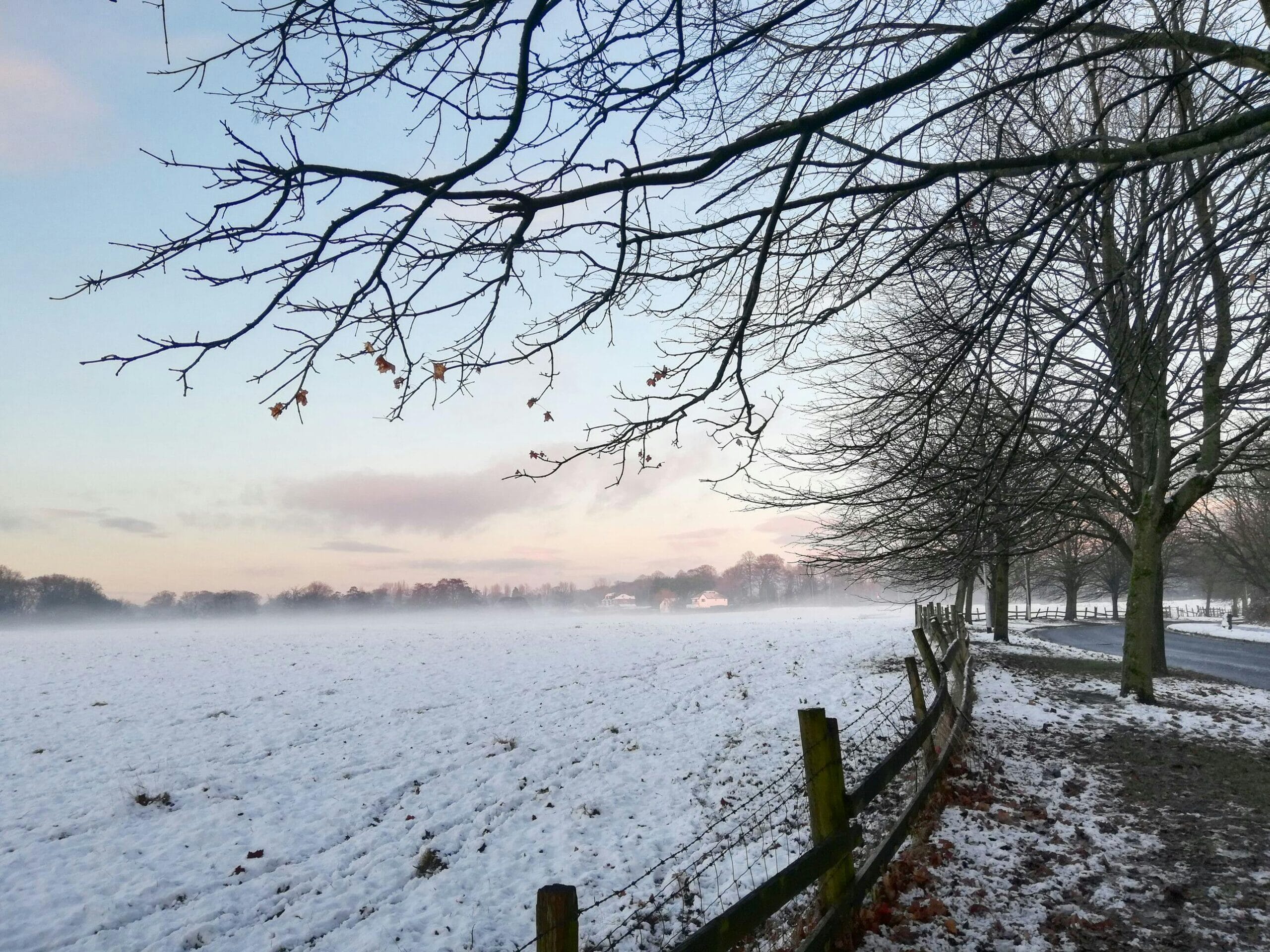 pexels-selera-exoticademanc-3352936-6339110-scaled.jpg?w=1024&h=768&scale